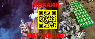 крисы Моздок