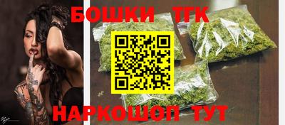 крисы Моздок