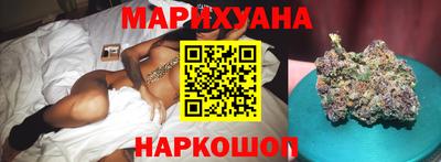 крисы Моздок