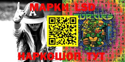 крисы Моздок