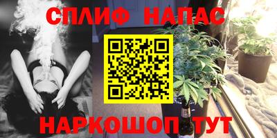прущие крисы Можга