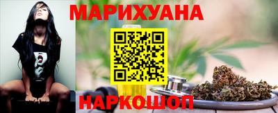 крисы Моздок