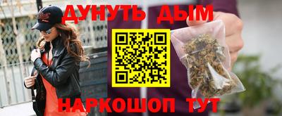 крисы Моздок