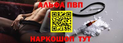 крисы Моздок