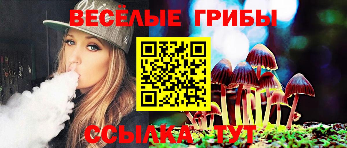 Галлюциногенные грибы мицелий  Вход с VPN  Дзержинск  Галлюциногенные грибы мицелий 