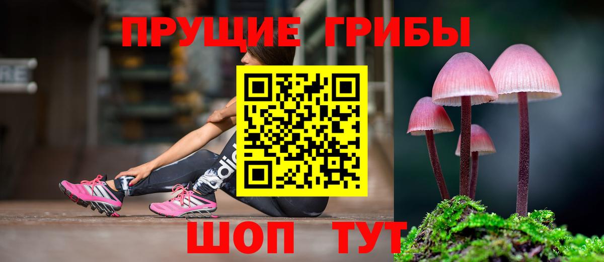 Галлюциногенные грибы MAGIC MUSHROOMS Дзержинск